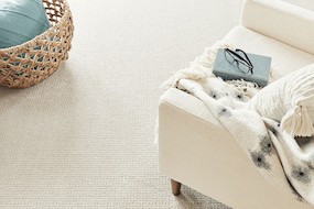 Stainmaster Carpet